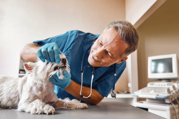 Best Weekend Emergency Dentist in Cleveland, NC
